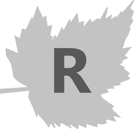 Let's rustle in Rust               